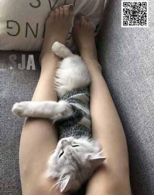 国防生2_剧情片全集在线观看