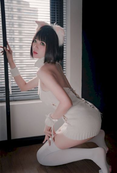 排球女将 电视剧_高清全集在线观看