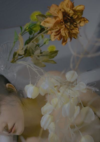 一种爱 电影_1080免费观看韩国