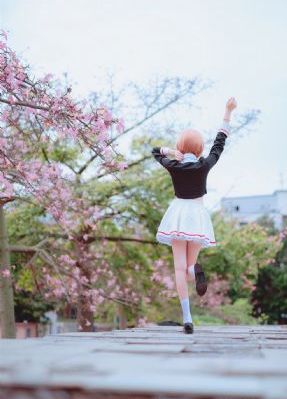 最新视频免费观看入口_DVD高清完整版