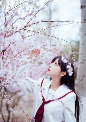 清楼十二房_剧情片电影完整版在线观看